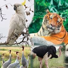 Friends of Zoo